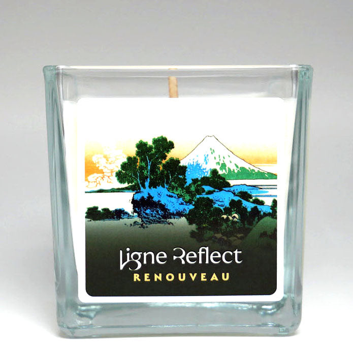 bougie parfumee renouveau fruite aromatique marque et parfum de niche