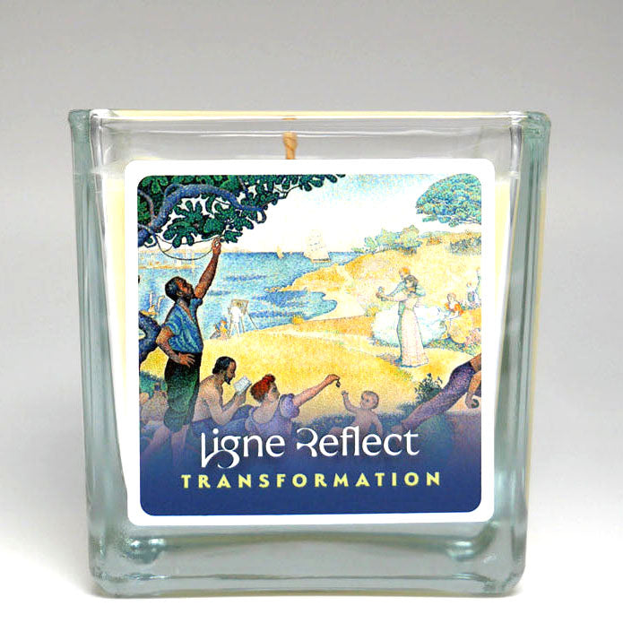 bougie parfumee parfum transformation  fruite vert marque et parfum de niche