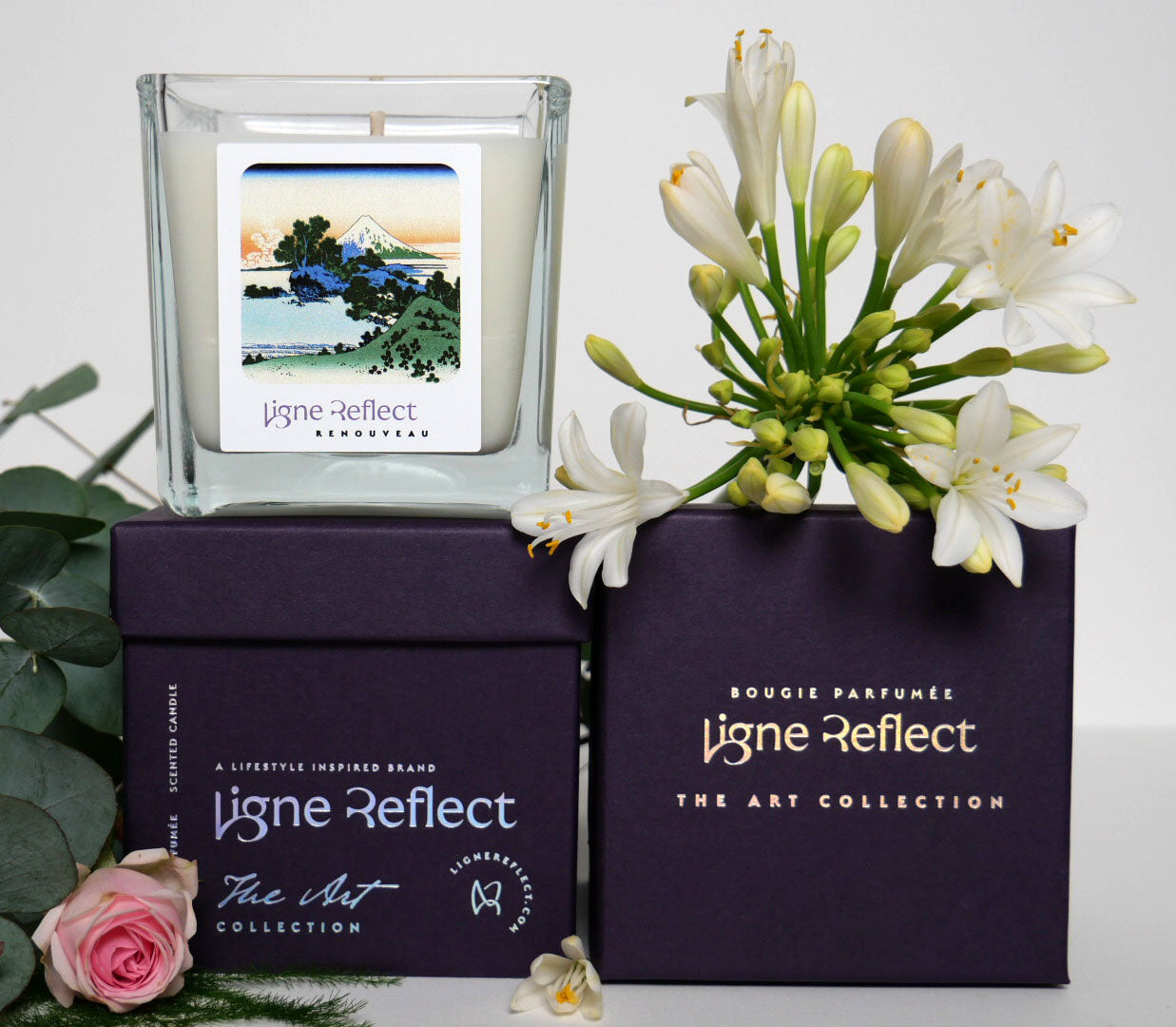 cire de soja vegetale et naturelle vegan sans ogm meche coton